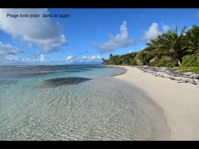 Soley Bungalows Nonis 2 Pers Adult Only Sainte-Anne  Esterno foto
